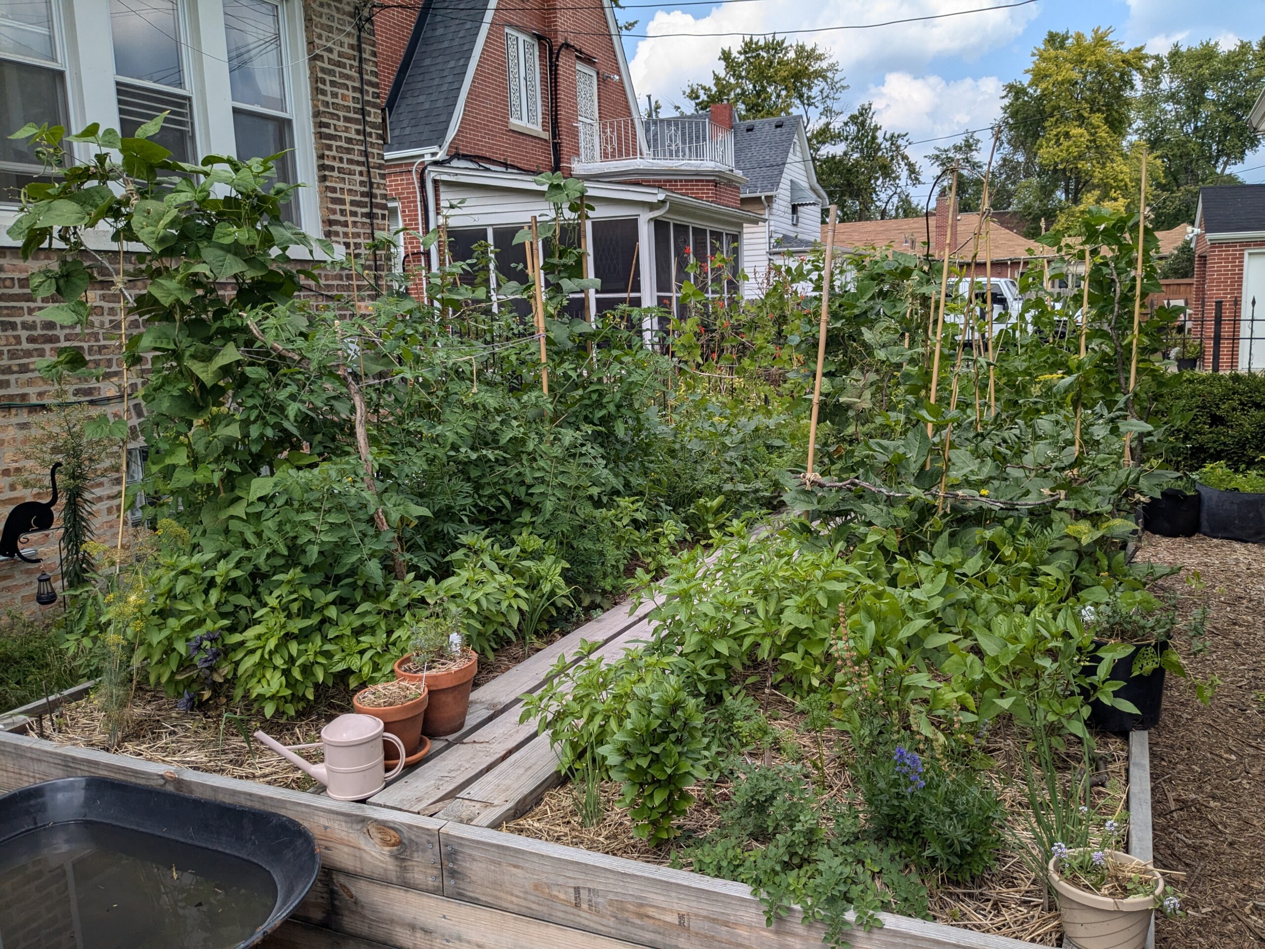 How would you like to grow your own vegetables and herbs?